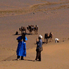 Les dunes près de Mezgarne