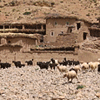 Village du M'Goun, mouton et oued