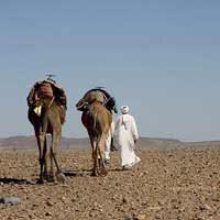 nomades berbères