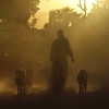 Coucher de soleil © Didier Meye