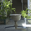 Les jardins intérieurs