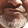 Le voyageur