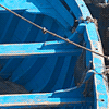 Fuyante bleue