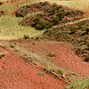 Collines aux blés