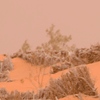 Barrières 3