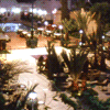 Le jardin et la piscine la nuit