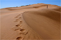 Dunes de sables