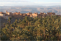 Palmeraie de Tazzarine