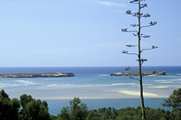 Oualidia