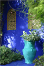 Majorelle