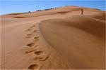 Dunes de Merzouga