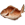 Poissons