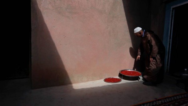 Dans une maison de Taliouine, le safran